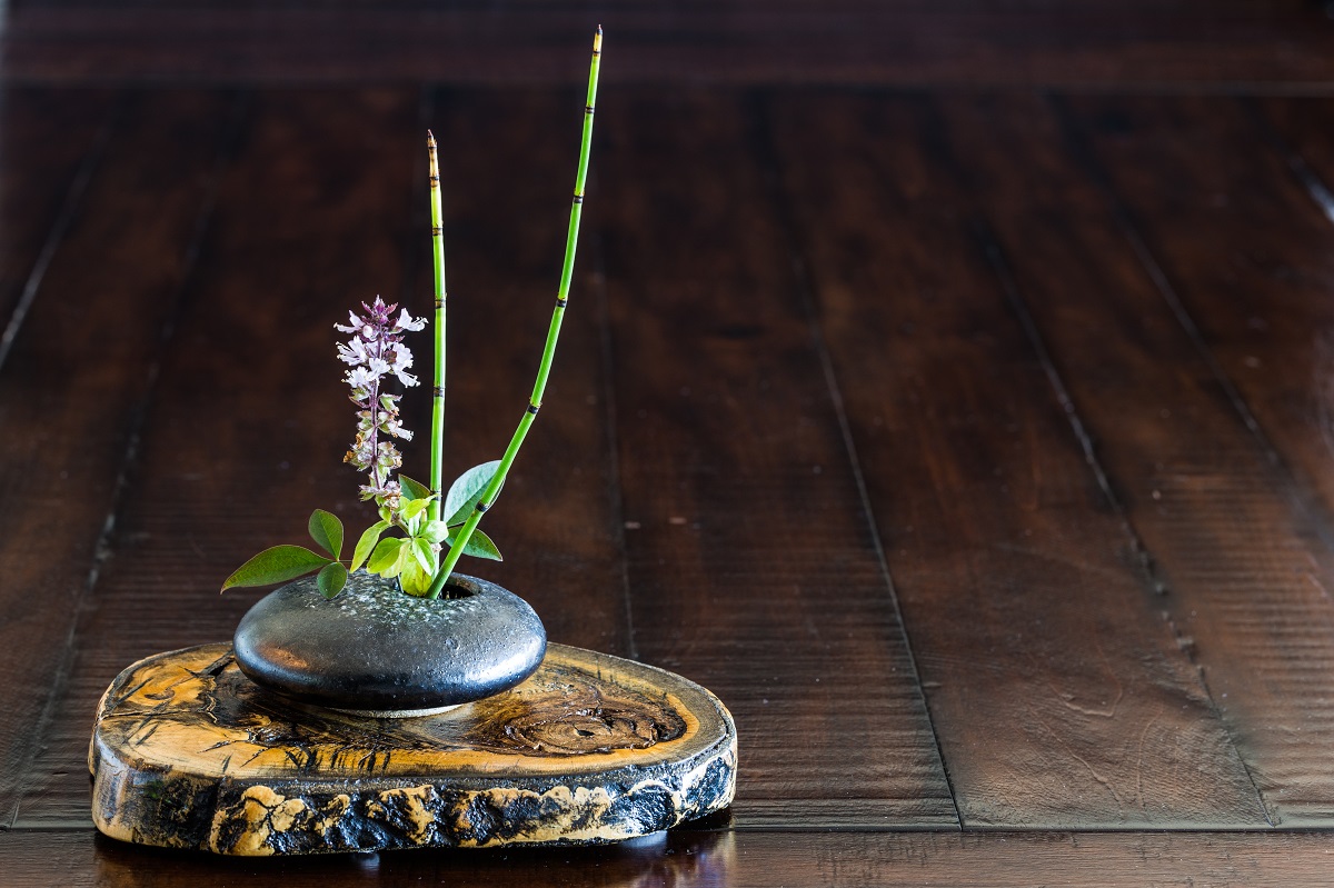 tmavá ikebana