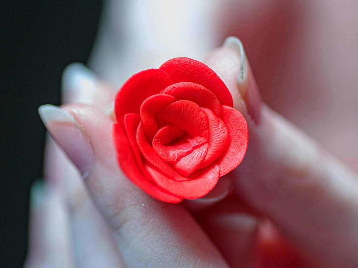 růže ze studeného porcelánu