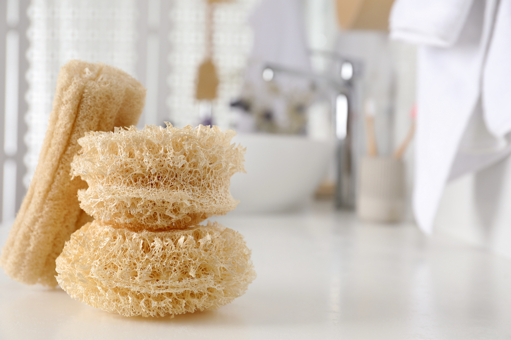 lufa přírodní houba