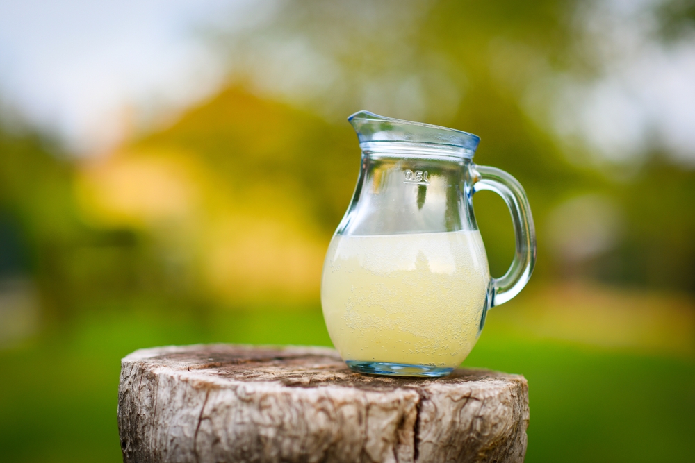 burčák ve džbánu