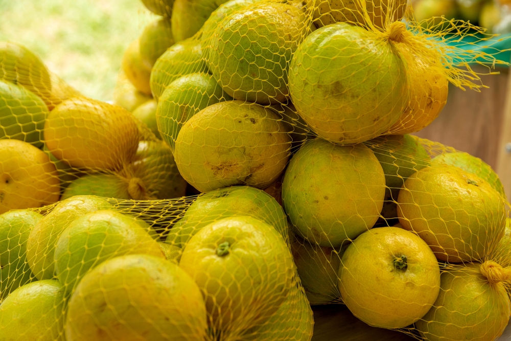 barevné síťky na citrusy