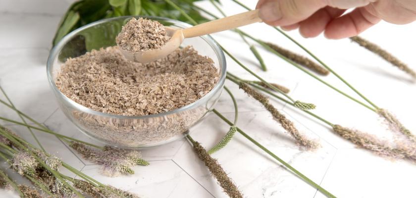 mleté psyllium