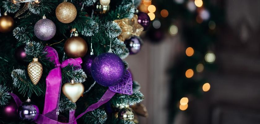 fialové vánoce