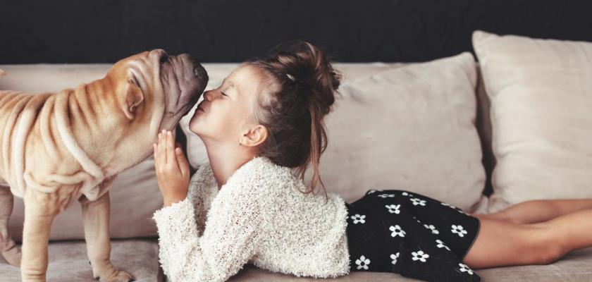 https://www.bydlimekvalitne.cz/sites/default/files/styles/image_840x400/public/bigstock-home-portrait-of-cute-child-ki-138231686.jpg?itok=ZANfLQ-7 https://www.bydlimekvalitne.cz/sites/default/files/styles/image_840x400/public/bigstock-home-portrait-of-cute-child-ki-138231686.jpg?itok=ZANfLQ-7
