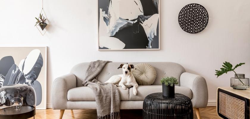 šedivý retro obývací pokoj