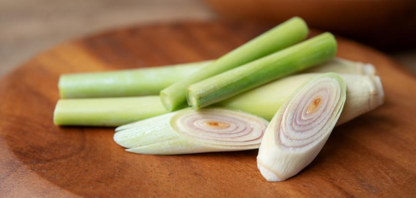 citronová tráva detail