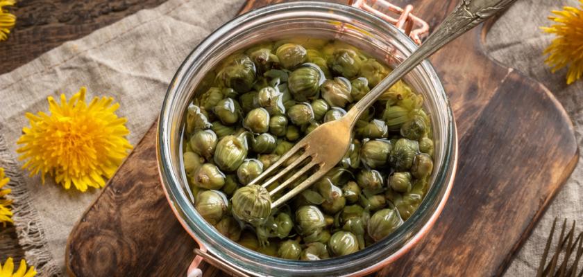 pampeliškové kapary