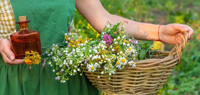 Boswellia serrata Meer weten over de gezondheidseffecten IVG