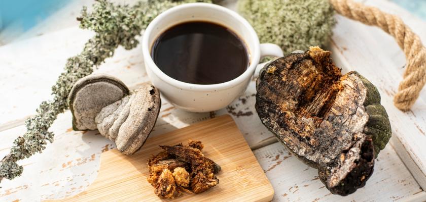 vitální houby v kávě