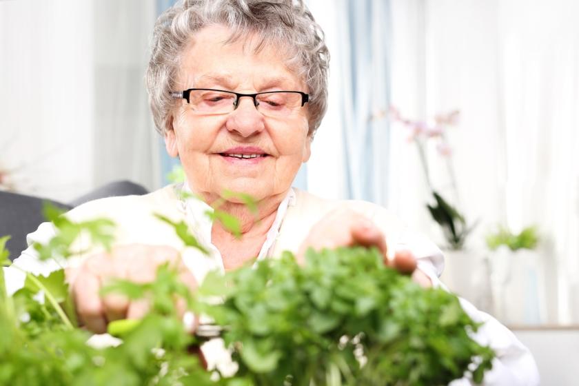 důchodkyně a bylinky