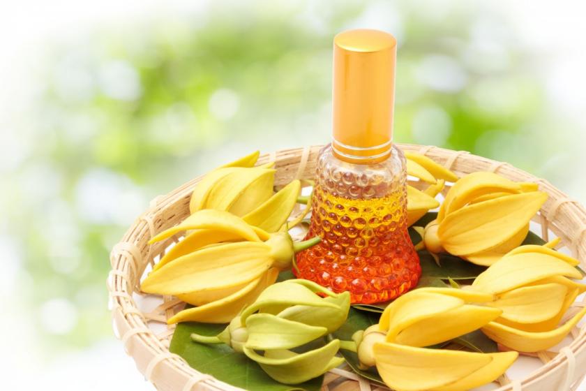 ylang ylang