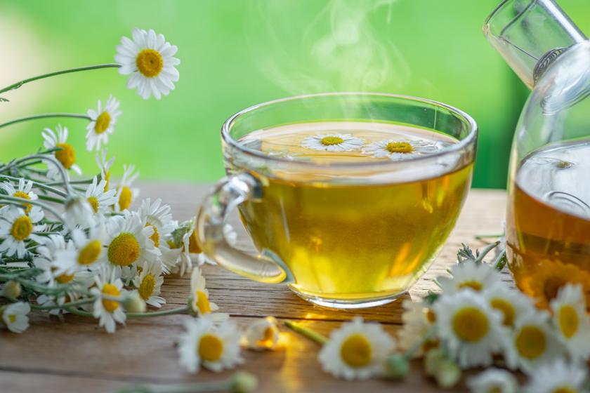 čaj z květů sedmikrásek
