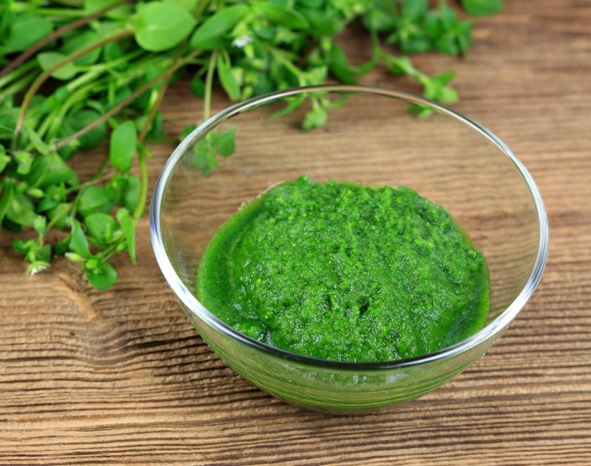 ptačincové pesto