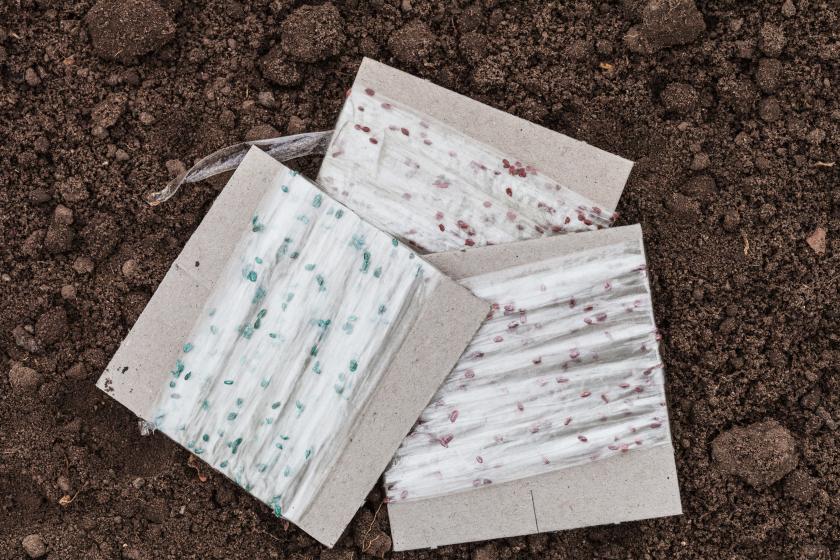 výsevní pásky z hobby marketu