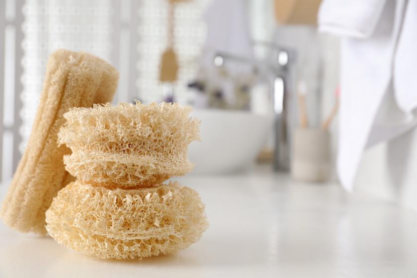 lufa přírodní houba