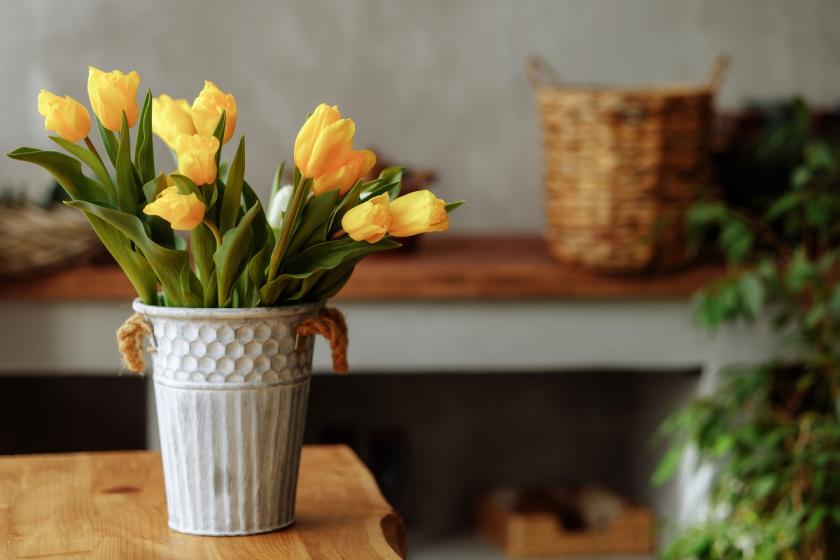 žlutá kytice tulipánů