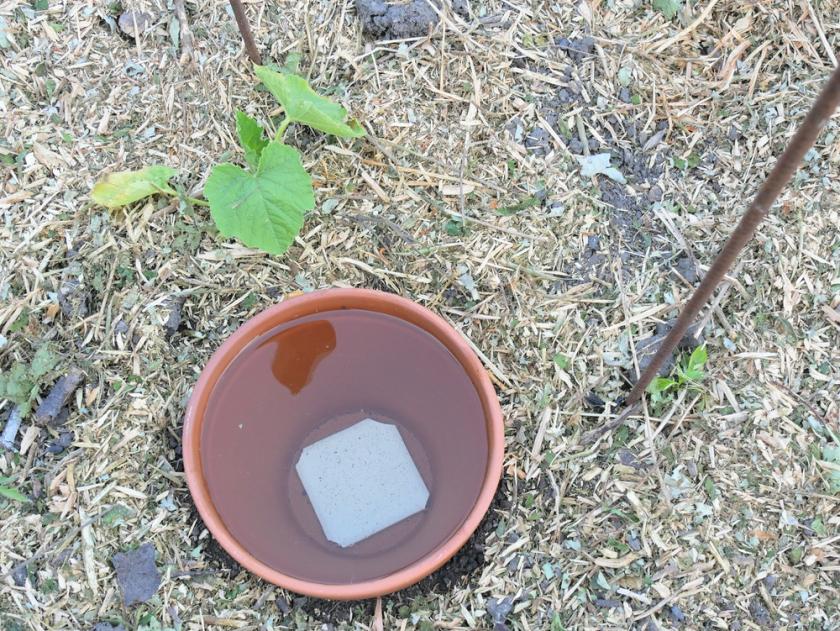 voda olla