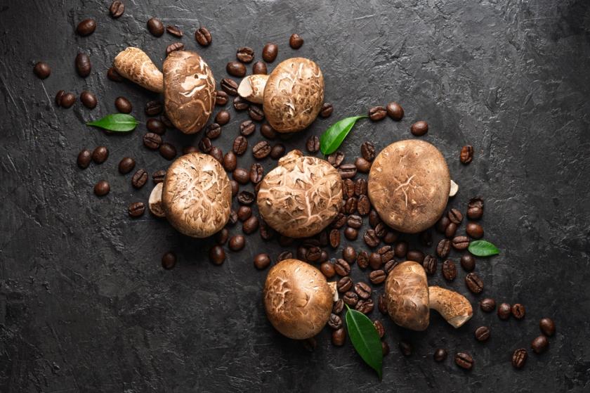 vitální houby a kafe