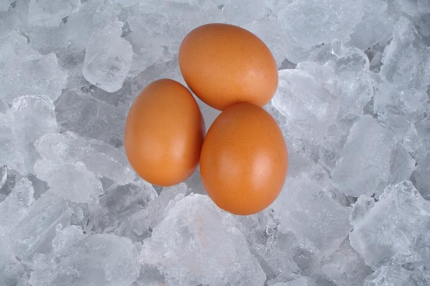vajíčka na ledu