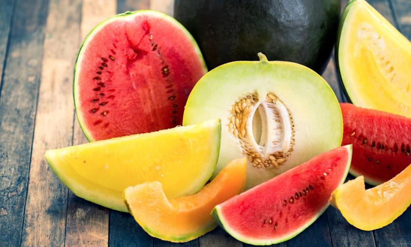 druhy melounů